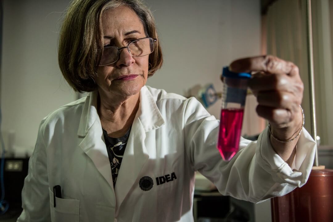 Lee más sobre el artículo Enaltecen labor de la mujer venezolana en los espacios científicos