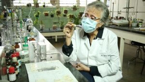Lee más sobre el artículo Día de la Ciencia y la Tecnología fomenta el desarrollo social