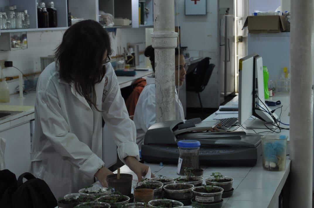 Lee más sobre el artículo Cayapa Heroica reactiva equipos para la investigación científica del Instituto de Biología Experimental de la UCV
