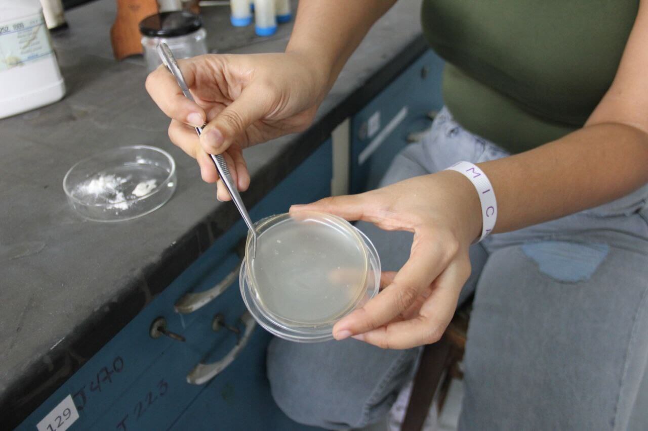 Lee más sobre el artículo Científicos venezolanos desarrollan cicatrizante a base de cáscara de camarones para pacientes con movilidad reducida y escaras