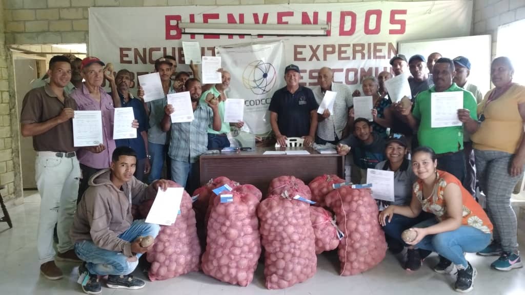 Lee más sobre el artículo Consolidan núcleos de productores de semilla de papa María Bonita en Falcón