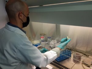 Lee más sobre el artículo INZIT desarrolla la elaboración de Fórmulas de Alimentos Balanceados para Peces de Cultivo