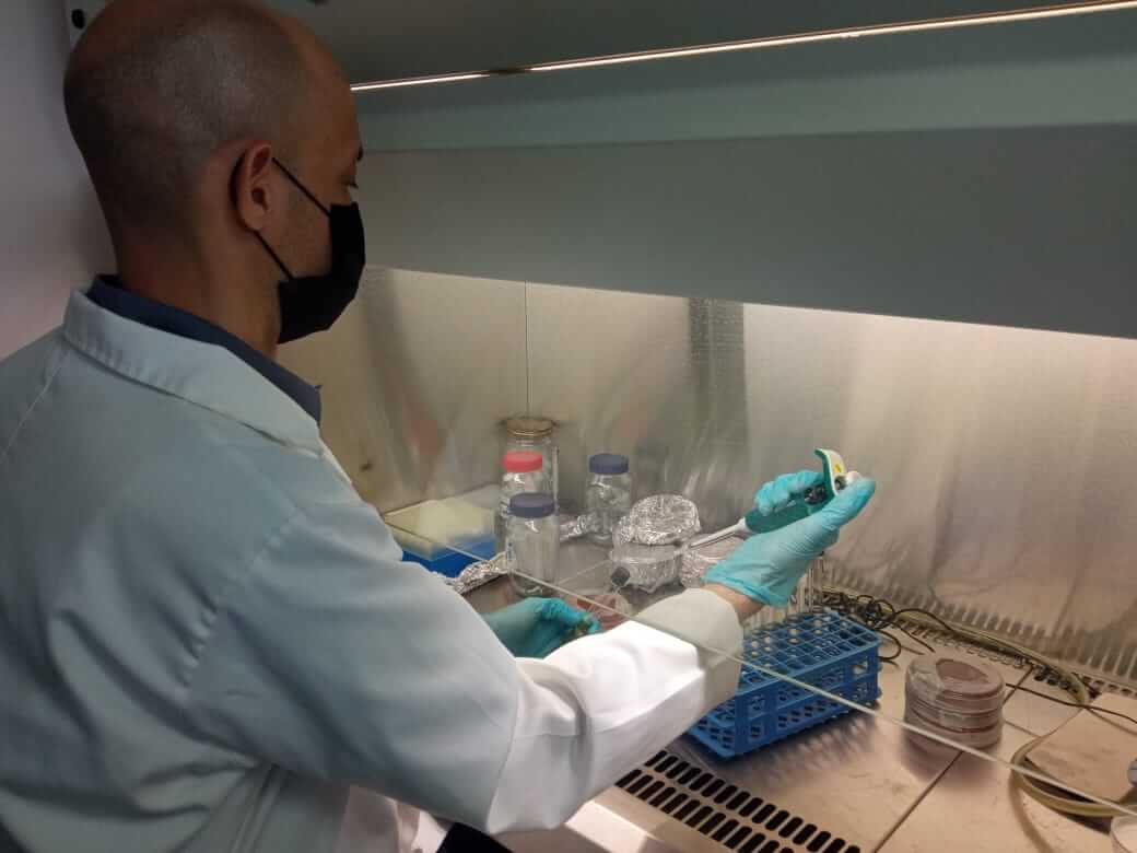 Lee más sobre el artículo INZIT desarrolla la elaboración de Fórmulas de Alimentos Balanceados para Peces de Cultivo