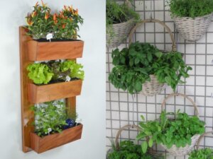 Lee más sobre el artículo Practicar la jardinería contribuye a la salud familiar y reduce el dióxido de carbono