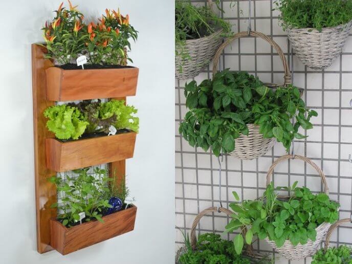 Lee más sobre el artículo Practicar la jardinería contribuye a la salud familiar y reduce el dióxido de carbono