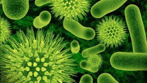 Lee más sobre el artículo Sistemas de vigilancia epidemiológica y su importancia para abordar los desafíos de “Una Sola Salud”