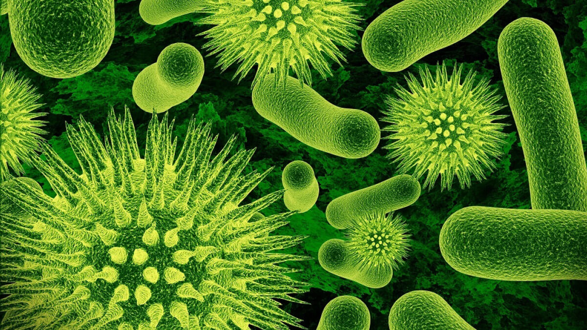 Lee más sobre el artículo Sistemas de vigilancia epidemiológica y su importancia para abordar los desafíos de “Una Sola Salud”