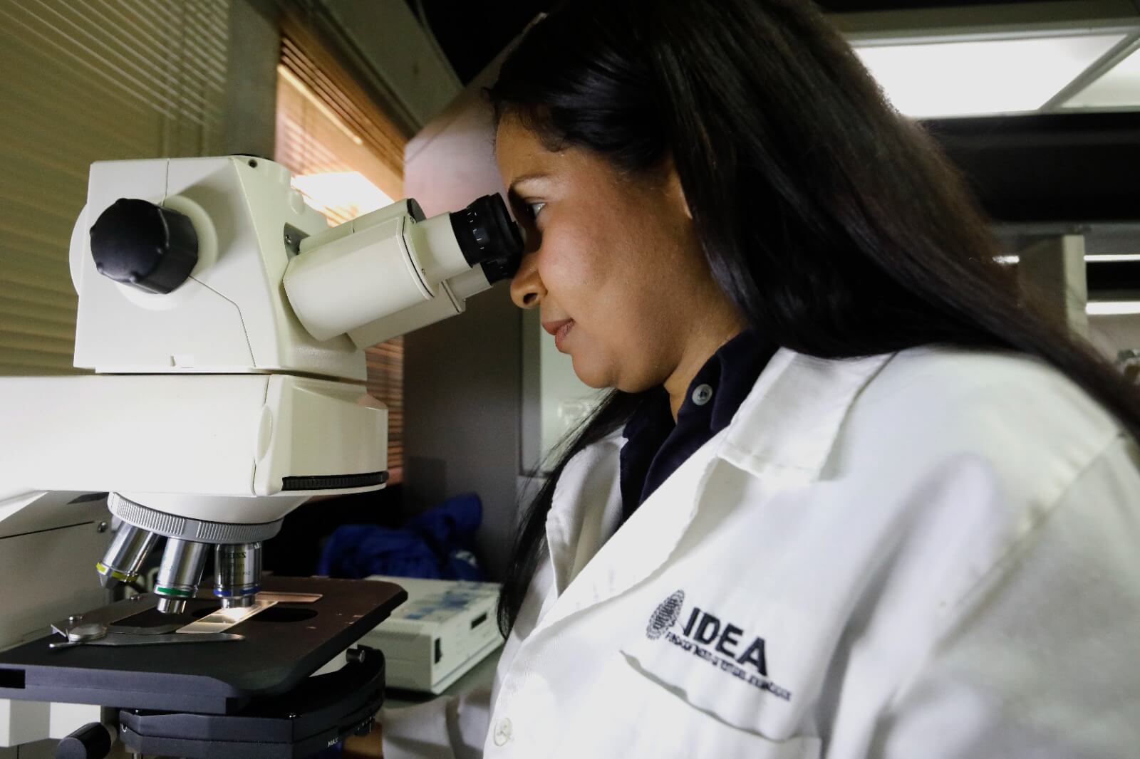 Lee más sobre el artículo Investigadores del IDEA adelantan proyecto de producción de microalgas con fines biotecnológicos