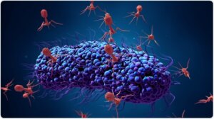 Lee más sobre el artículo Bacteriófagos: virus que infectan bacterias como alternativa a los antibióticos