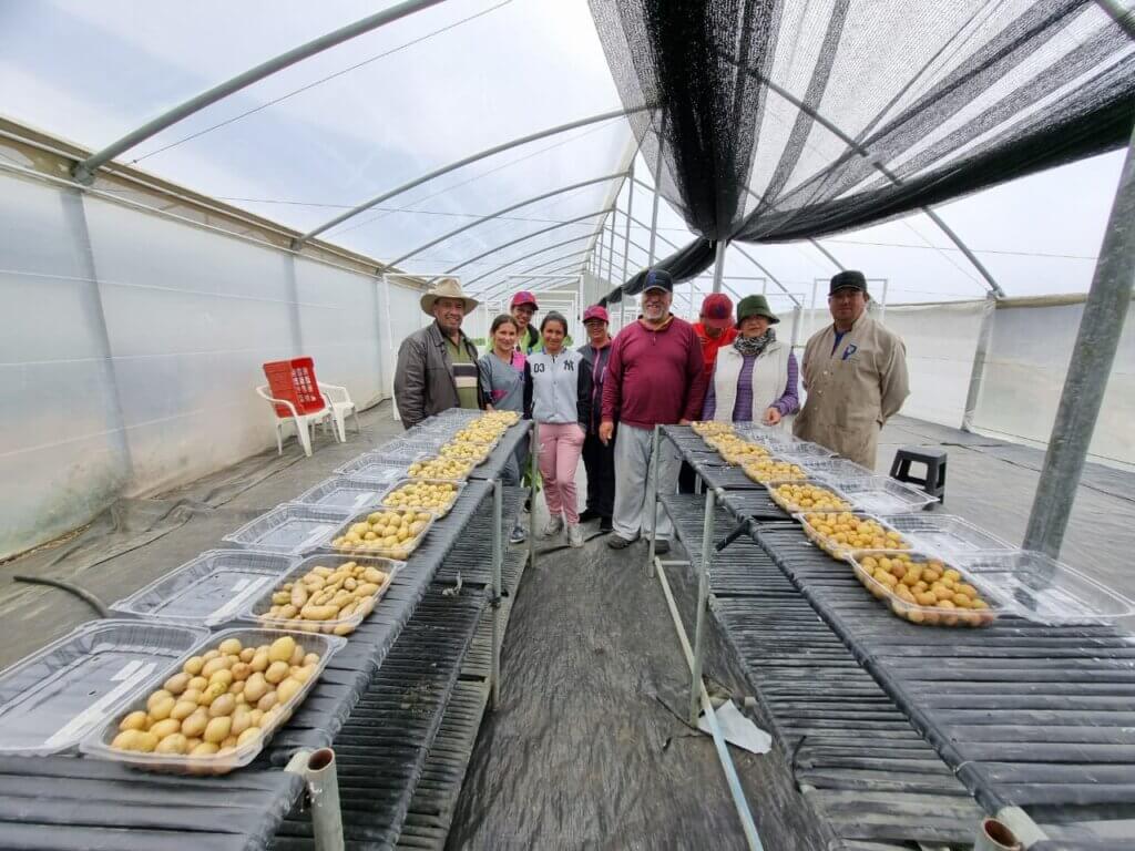 Proinpa: 24 años trabajando por la alimentación del pueblo
