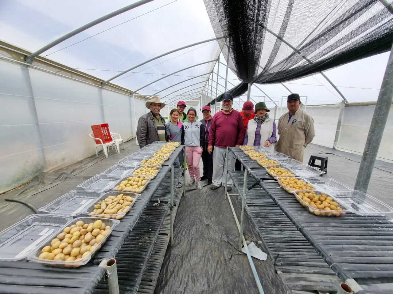 Lee más sobre el artículo Proinpa: 24 años trabajando por la alimentación del pueblo
