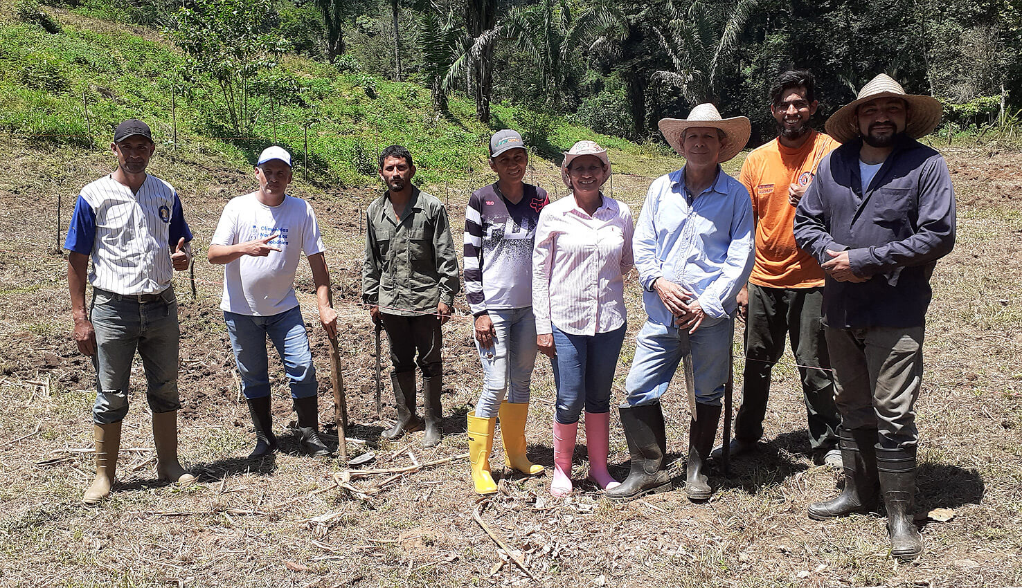 Lee más sobre el artículo Alianza Científico-Campesina fortalece producción de caraotas negras en Cojedes