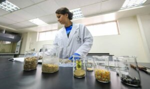 Lee más sobre el artículo CNTQ ejecuta proyectos que aportan al desarrollo del país a través de la química y tecnología