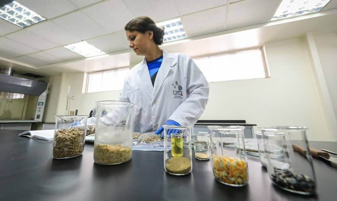 En este momento estás viendo CNTQ ejecuta proyectos que aportan al desarrollo del país a través de la química y tecnología