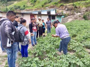 Lee más sobre el artículo Dictan taller sobre manejo agronómico del cultivo de semilla de papa en Trujillo