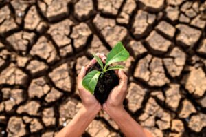 Lee más sobre el artículo Investigadores de la Facultad de Ciencias de la ULA comparten proyectos en II Congreso sobre crisis climática