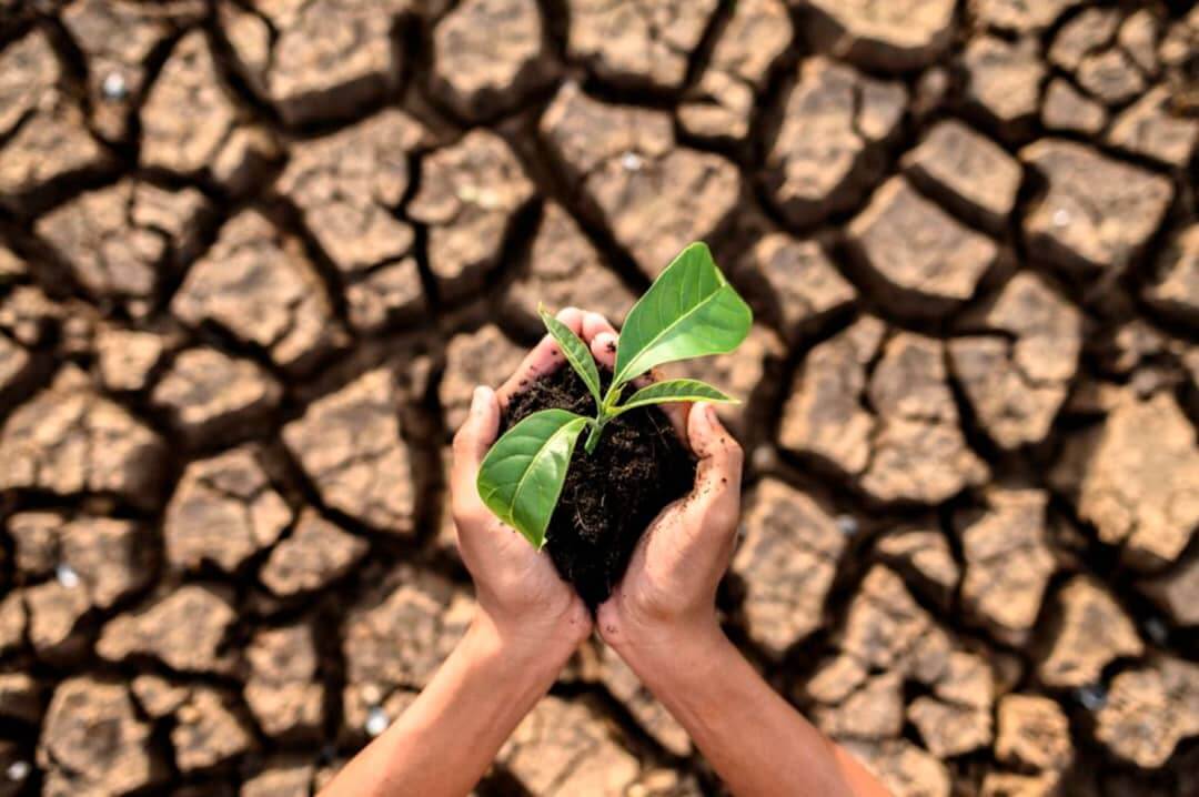 En este momento estás viendo Investigadores de la Facultad de Ciencias de la ULA comparten proyectos en II Congreso sobre crisis climática