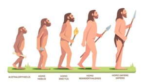 Lee más sobre el artículo Conoce el origen de la humanidad y sus procesos evolutivos