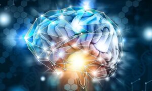 Lee más sobre el artículo Investigaciones sobre el cerebro continúan generando aportes para su cuidado