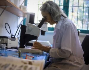 Lee más sobre el artículo Investigadores del IVIC desarrollan estudio sobre impacto de microplásticos en aves playeras migratorias