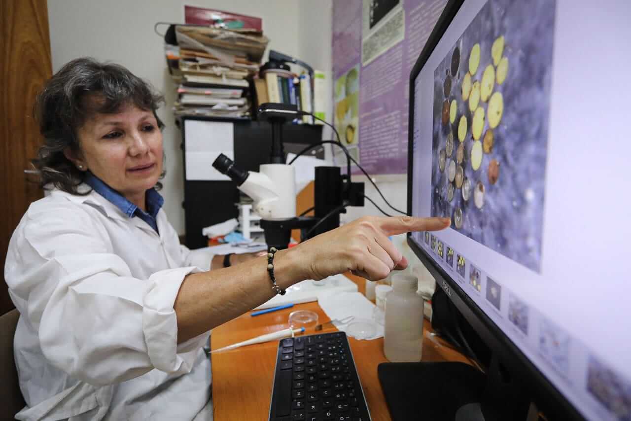 En este momento estás viendo Ministra Gabriela Jiménez Ramírez destaca pasión de científicos para dar respuestas a fenómenos de la naturaleza