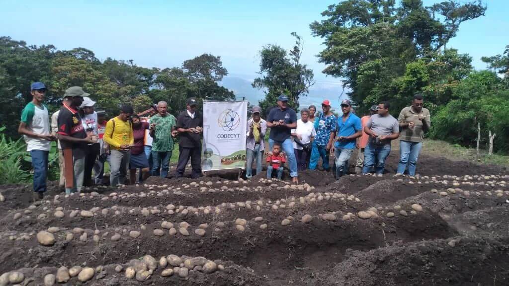 Lee más sobre el artículo Productores de Falcón se capacitan en elaboración de biofertilizantes alternativos para siembras de papa
