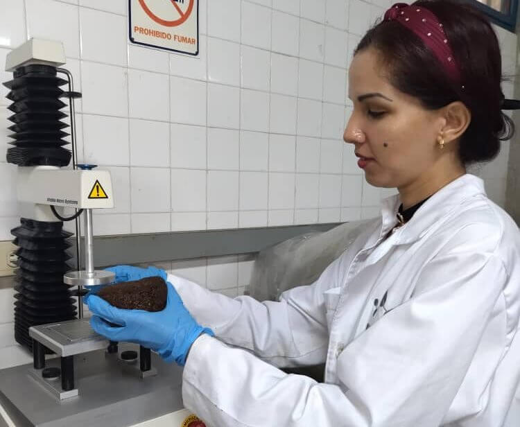 En este momento estás viendo CNTQ realiza ensayos de prototipos funcionales de Bloques Multinutricionales (BMN)