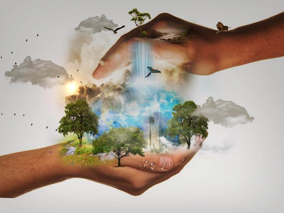 Lee más sobre el artículo Extienden hasta el 25 de noviembre registro para participar en II Congreso Internacional de Biodiversidad 2023