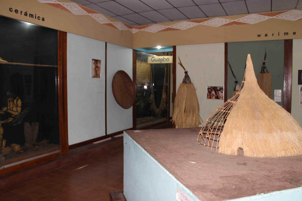 Lee más sobre el artículo Estudiantes aprenden sobre cultura de los pueblos indígenas del estado Amazonas