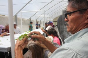 Lee más sobre el artículo Proinpa realiza primera siembra de papa María Bonita en aeroponía con productores del país