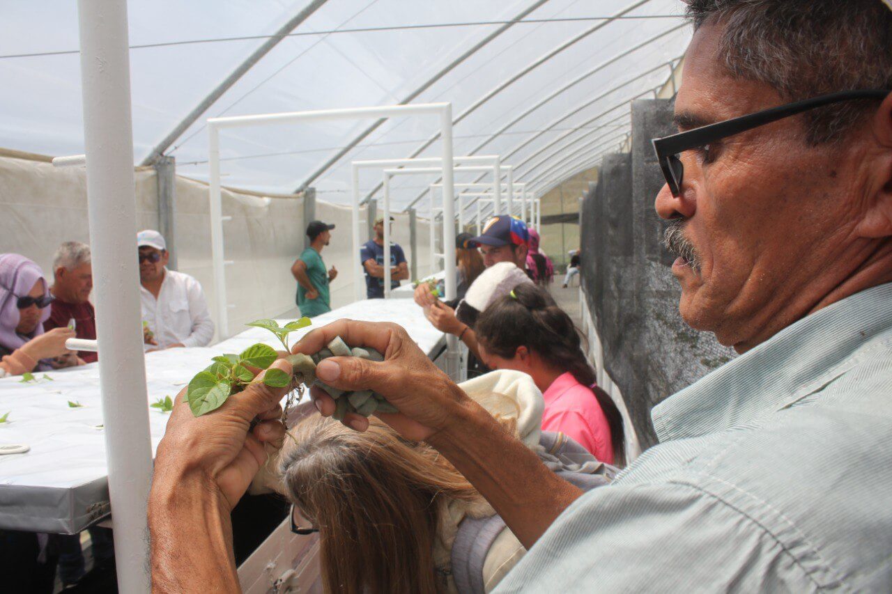 Lee más sobre el artículo Proinpa realiza primera siembra de papa María Bonita en aeroponía con productores del país