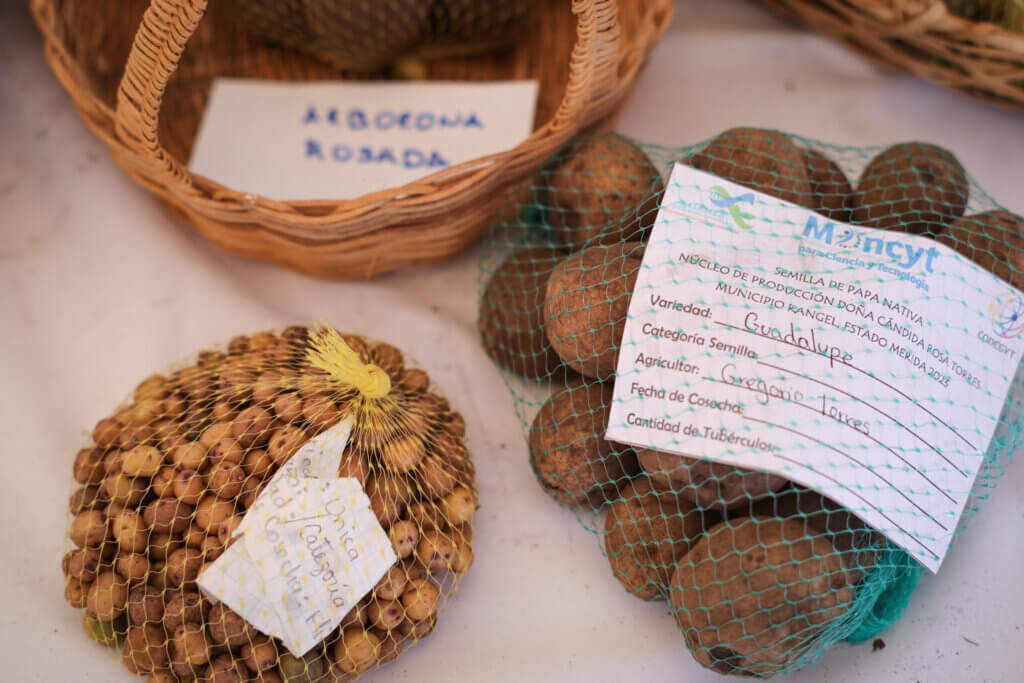 Alianza Científico-Campesina del Mincyt destaca en consolidación de la soberanía alimentaria durante 2023