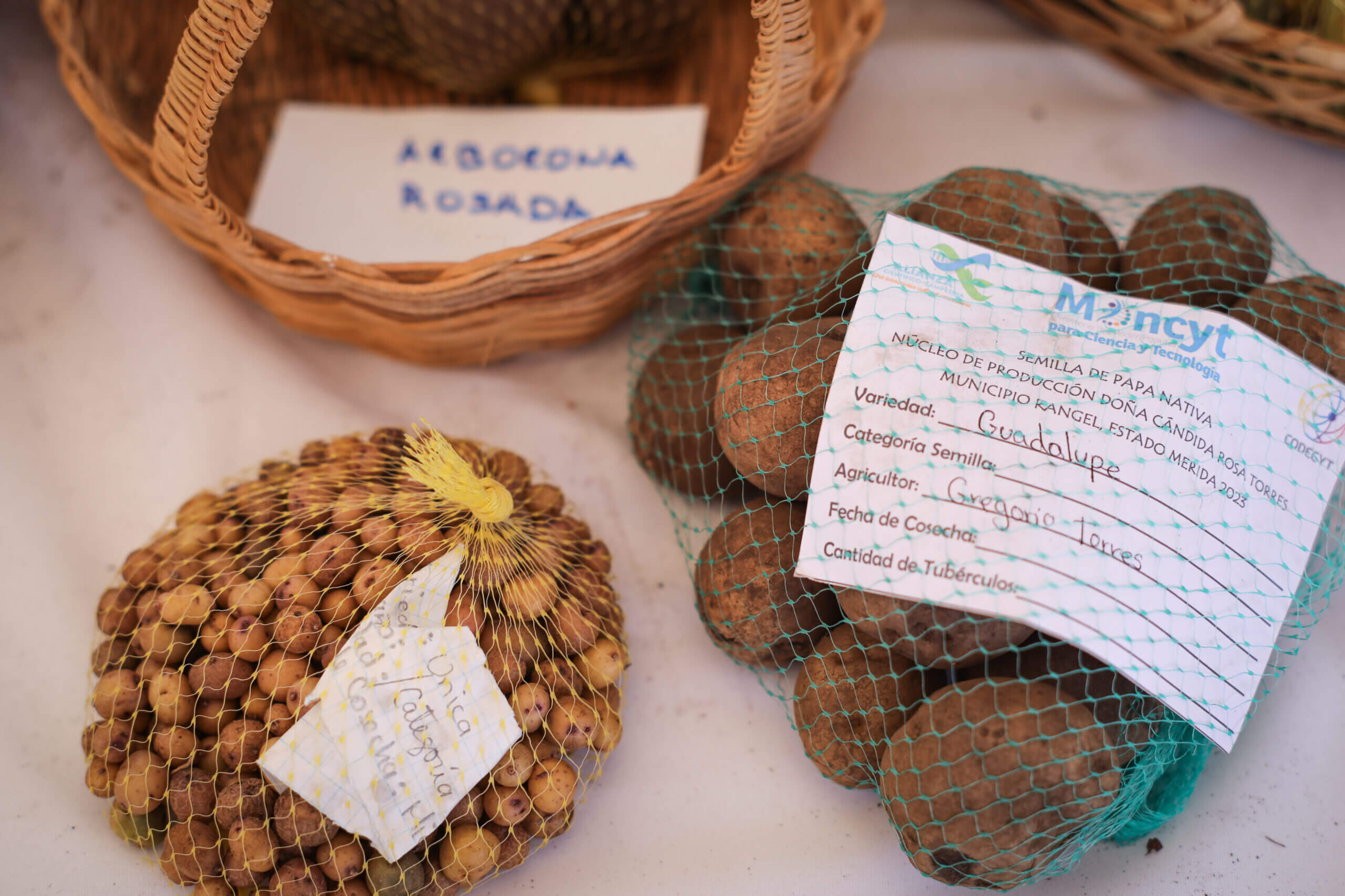 Lee más sobre el artículo Alianza Científico-Campesina del Mincyt destaca en consolidación de la soberanía alimentaria durante 2023