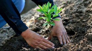 Lee más sobre el artículo Fundacite realizará foro sobre crisis climática y sus consecuencias en la agricultura y biodiversidad