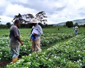 Lee más sobre el artículo Alianza Científico Campesina realizó taller en producción de bioinsumos