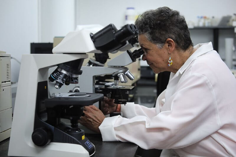 Lee más sobre el artículo Dra. Elizabeth Merentes investiga aportes de las células madre para la medicina regenerativa