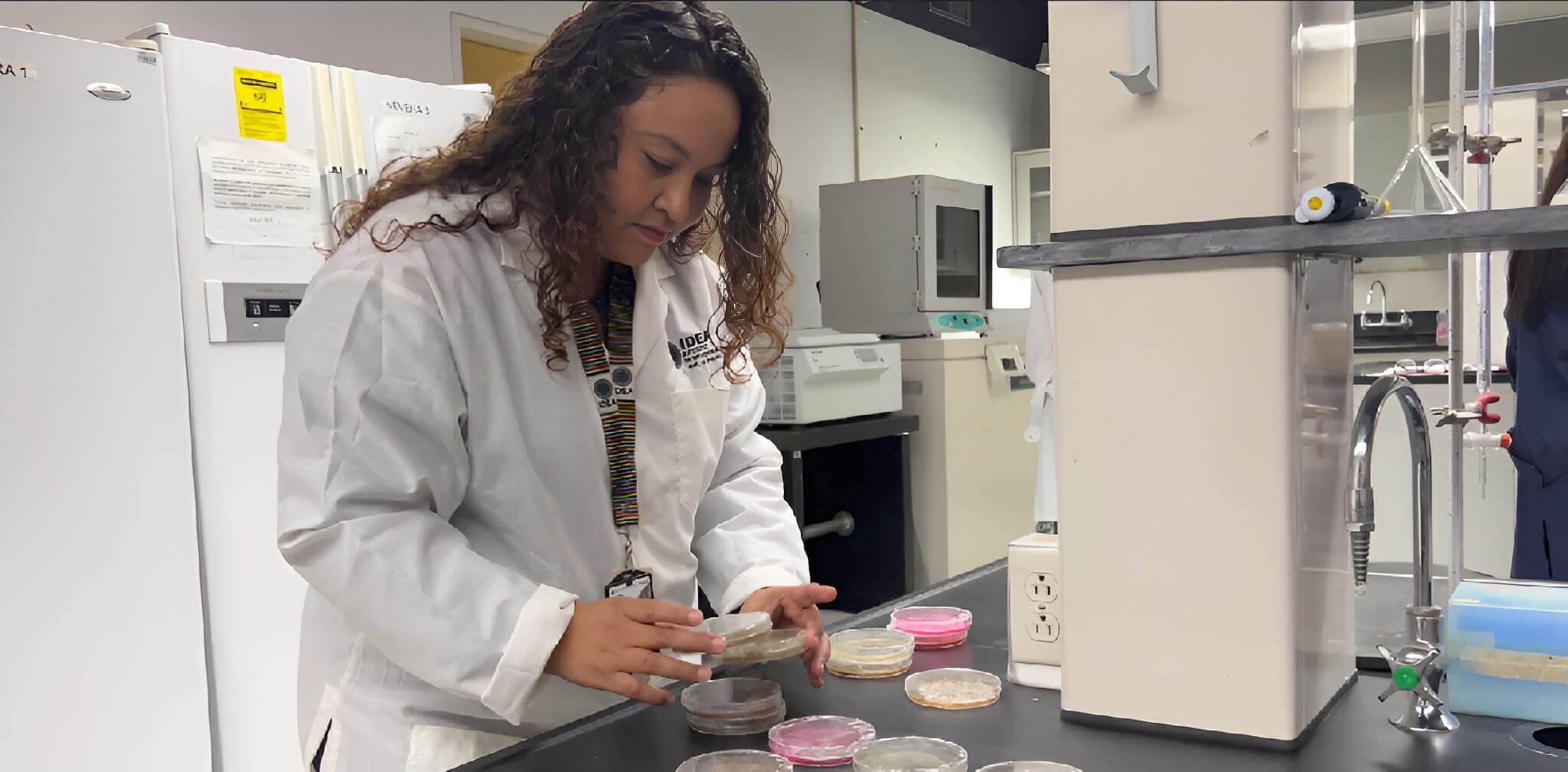 Lee más sobre el artículo Los hongos podrían ser herramientas efectivas para biodegradar microplásticos en el ambiente