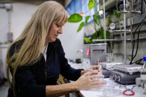 Lee más sobre el artículo Dra. María Hernández estudia nanomateriales para el desarrollo tecnológico venezolano