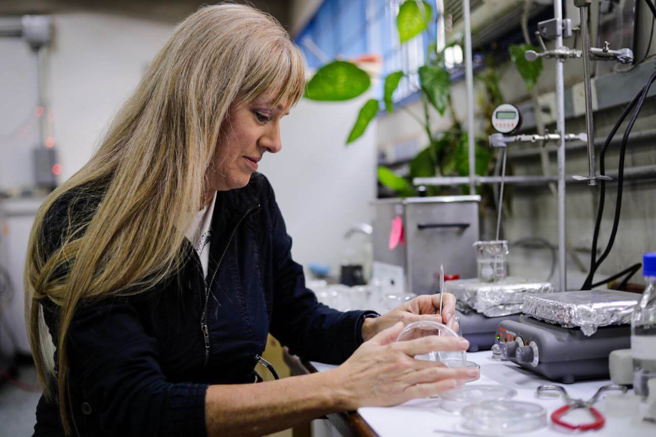 Lee más sobre el artículo Dra. María Hernández estudia nanomateriales para el desarrollo tecnológico venezolano