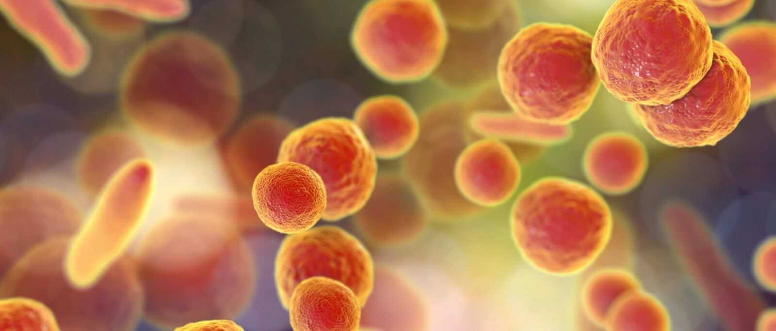 Lee más sobre el artículo Mycoplasma: principal sospechosa del brote de neumonía en China