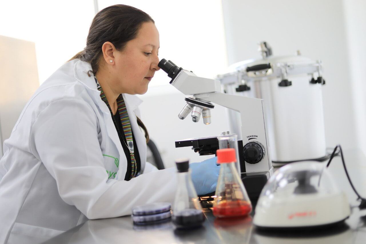 Lee más sobre el artículo Más de 24 mil investigadores e investigadoras se han registrado en el ReNII