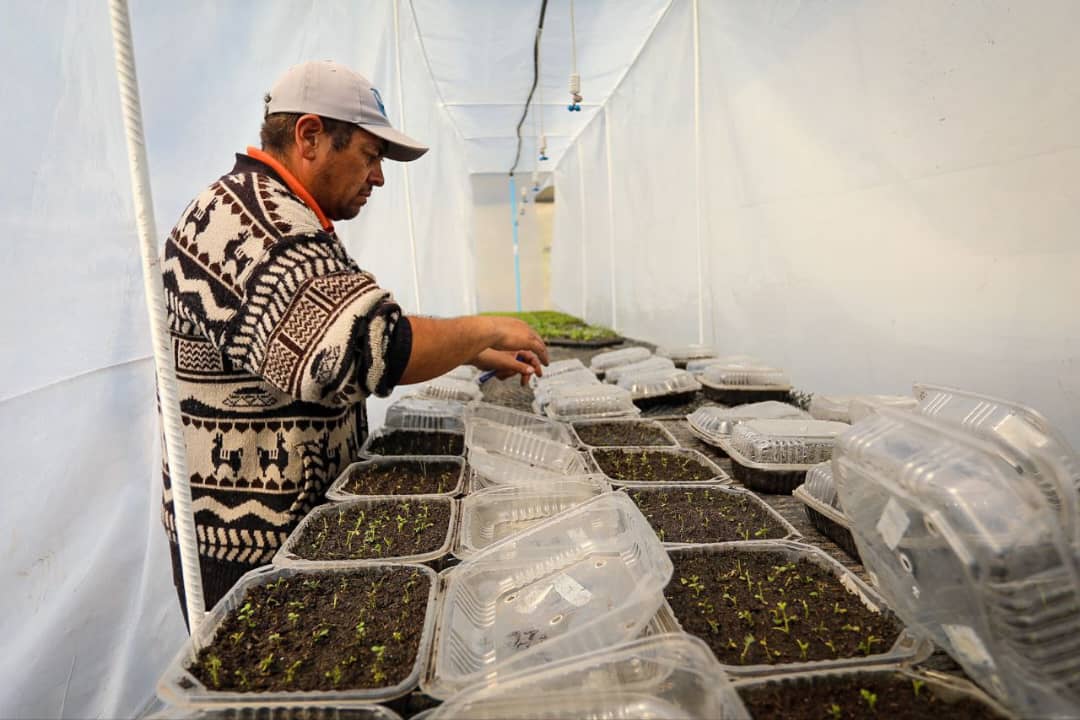 Lee más sobre el artículo Alianza Científico-Campesina: producción para la soberanía alimentaria