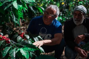 Lee más sobre el artículo IVIC impulsa el mejor café venezolano