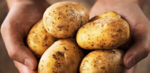 Lee más sobre el artículo Científicos elaboran un nuevo método para sintetizar nanopartículas de plata con el uso de cáscara de papa blanca