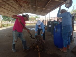Lee más sobre el artículo INZIT elabora biofertilizantes con recursos locales para mejorar producción de hortalizas en el Zulia