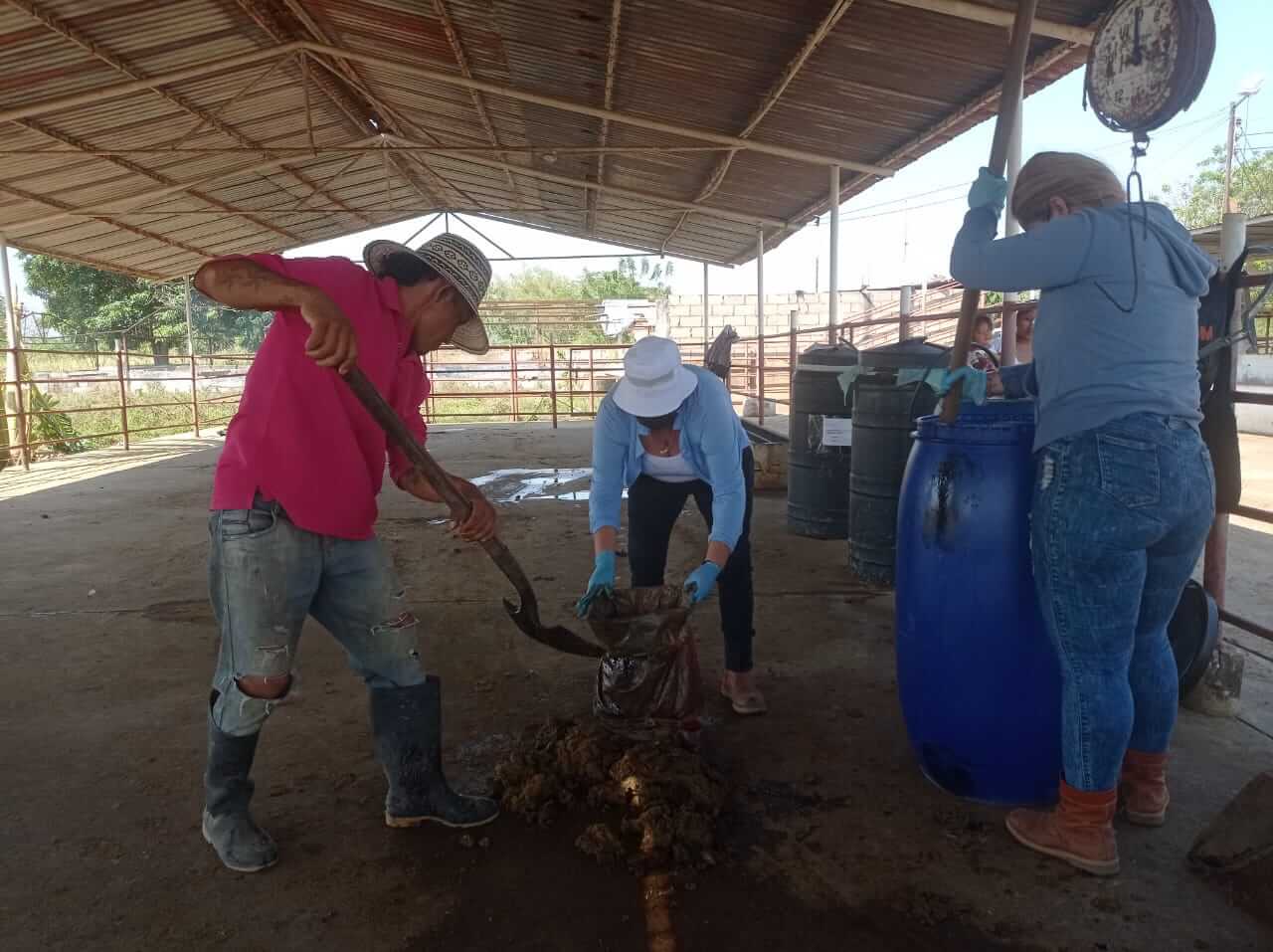 Lee más sobre el artículo INZIT elabora biofertilizantes con recursos locales para mejorar producción de hortalizas en el Zulia
