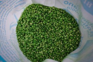 Lee más sobre el artículo Mincyt acompaña e impulsa proyecto para el tratamiento de semilla de maíz con productos biotecnológicos