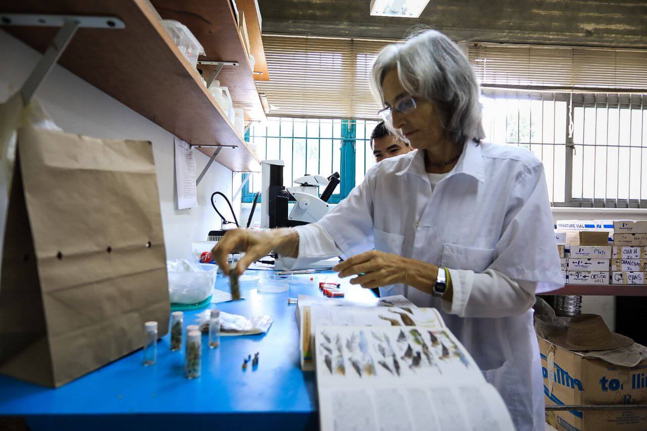 Lee más sobre el artículo Virginia Sanz: científica venezolana con importantes aportes para la preservación de las aves migratorias
