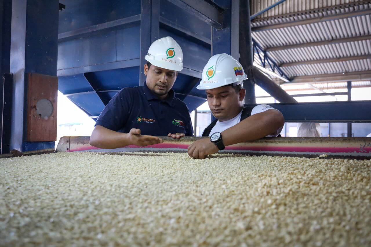 Lee más sobre el artículo Proyecto para el tratamiento de semilla de maíz promueve la agricultura sostenible en el país