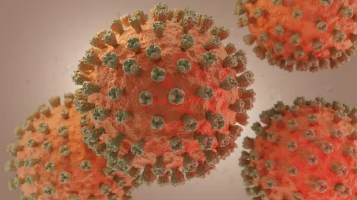 Lee más sobre el artículo Conoce las diferencias entre la gripe A y la gripe aviar